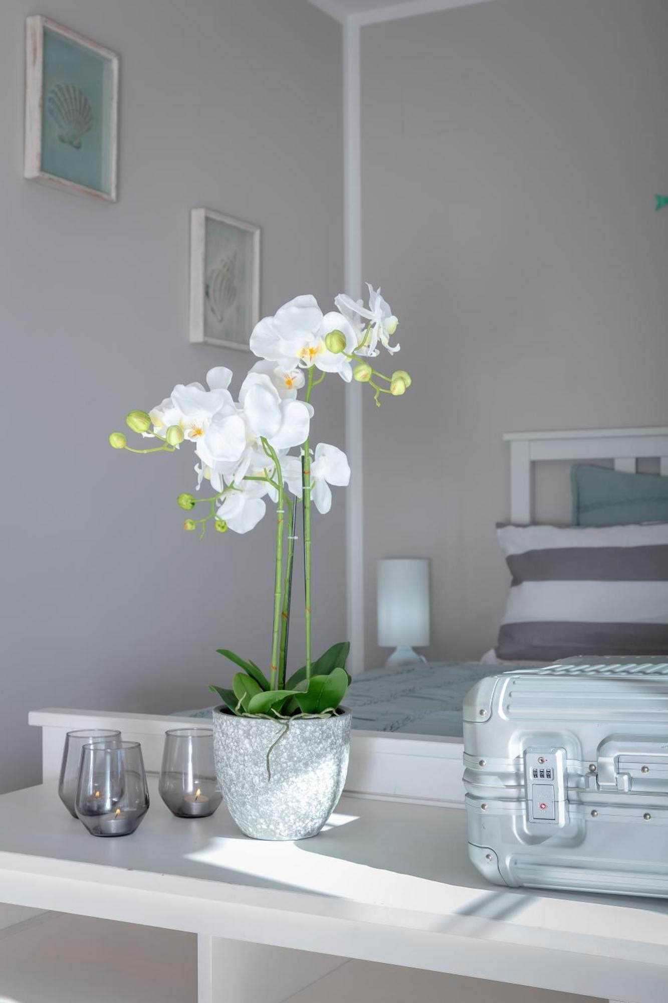 Villa Palmera PMI Zewnętrze zdjęcie