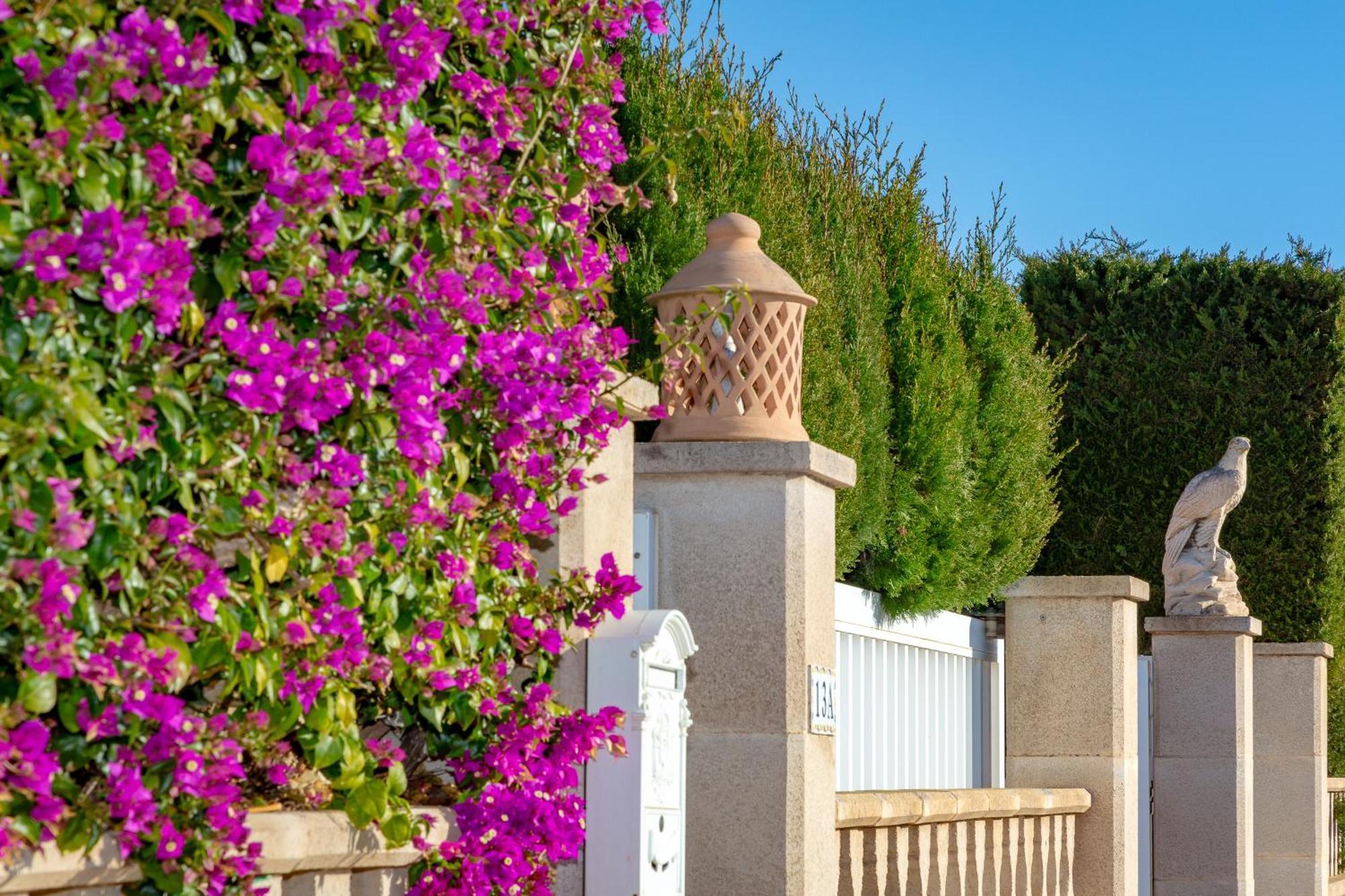 Villa Palmera PMI Zewnętrze zdjęcie